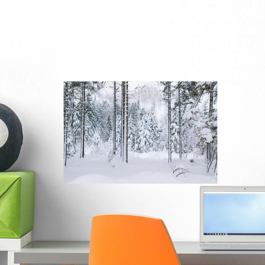 Winterwald Wall Mural