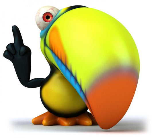 Toucan Wall Decal