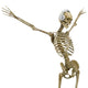 dj skelleton in dancing the dance Wall Decal