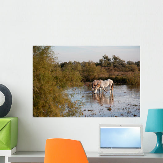 Camargue Horses Ii Wall Mural