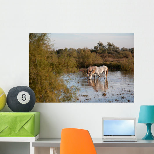 Camargue Horses Ii Wall Mural