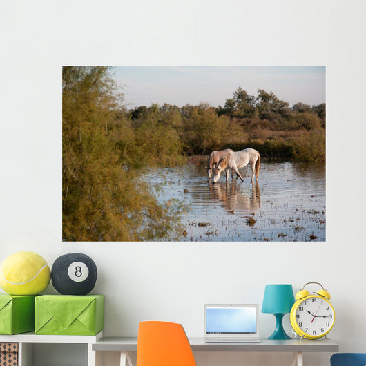 Camargue Horses Ii Wall Mural
