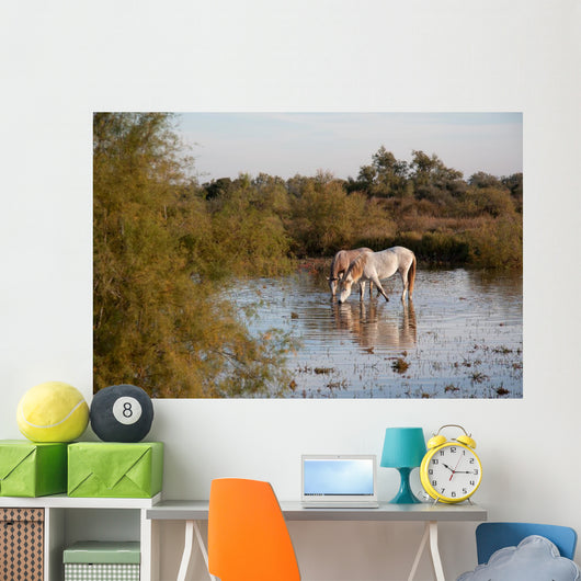 Camargue Horses Ii Wall Mural