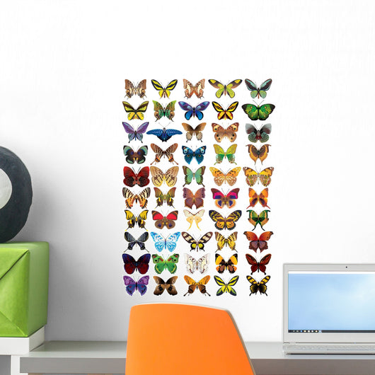 buttrflies Wall Mural