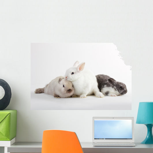 3 Rabbit baby Wall Decal