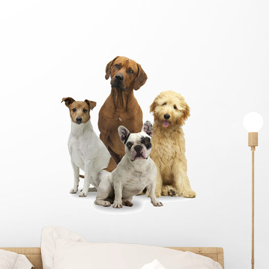 4 Hunde Wall Decal