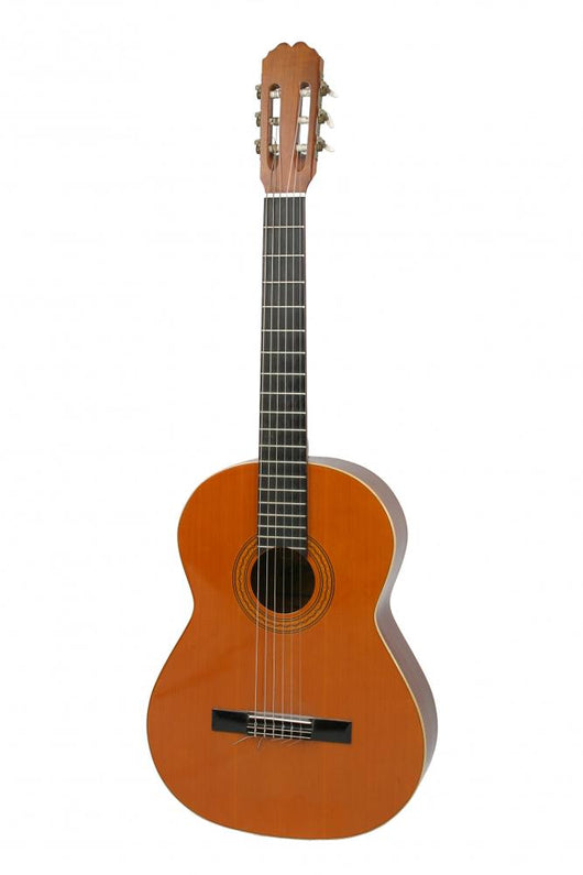 Acoustic Guitar Wall Decal