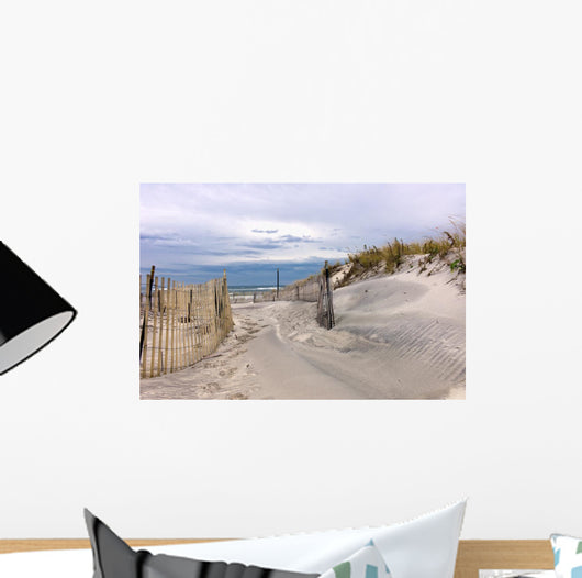 Path through Sand Dunes