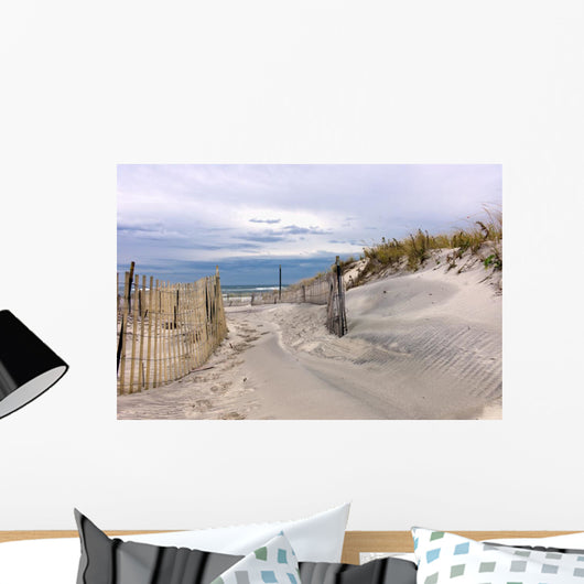 Path through Sand Dunes