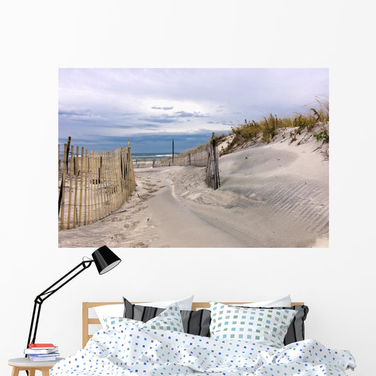 Path through Sand Dunes