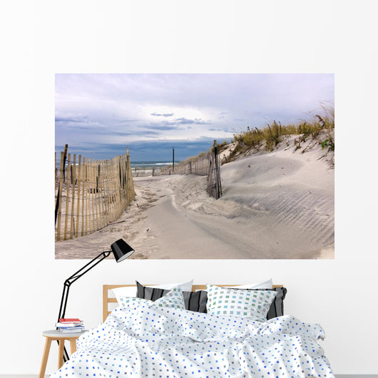 Path through Sand Dunes