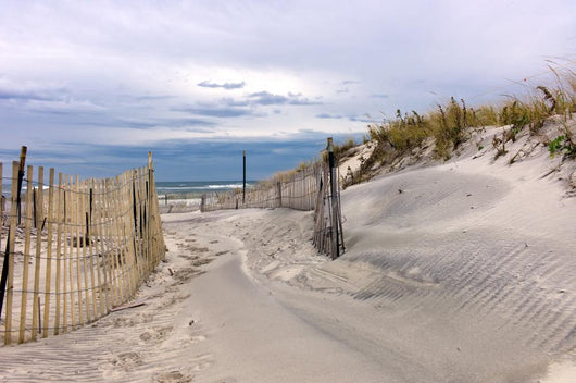 Path through Sand Dunes