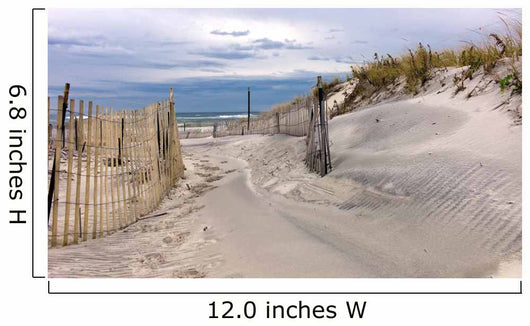 Path through Sand Dunes