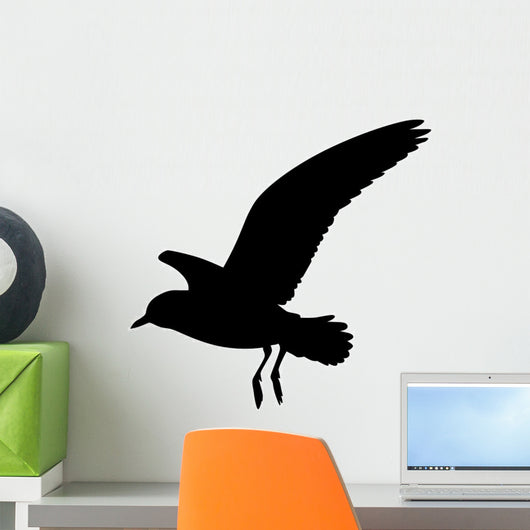 Seagull