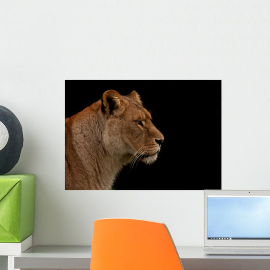 Up Profile Lion Black Wall Mural