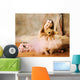 Little ballerina beauty Wall Mural