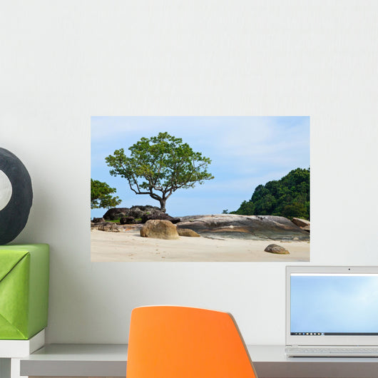 Tropical Rocky Beach with