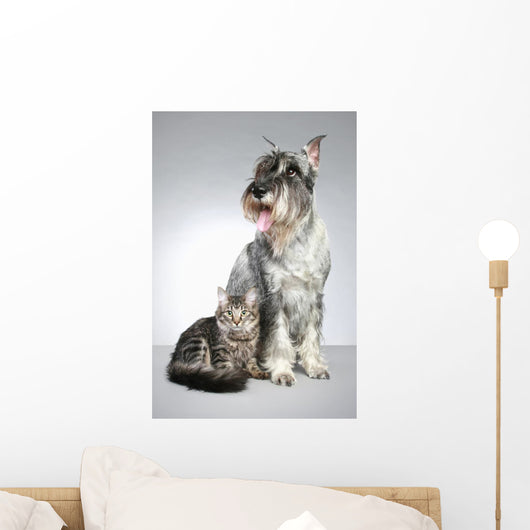 Dog Breed Mittel Schnauzer