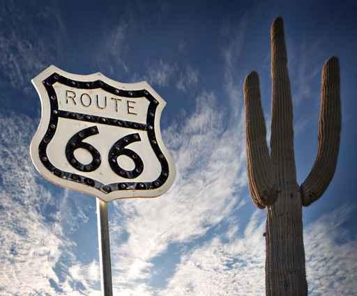 Route 66 with Saguaro Wall Decal