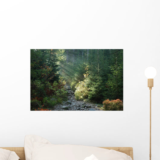 Ray Sunshine Wall Mural
