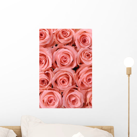 Big multiple pink roses background Wall Mural