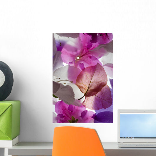 Backlit Flowers Background Wall Mural