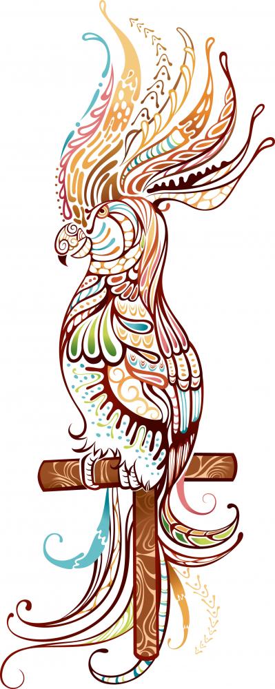 Parrot Wall Decal