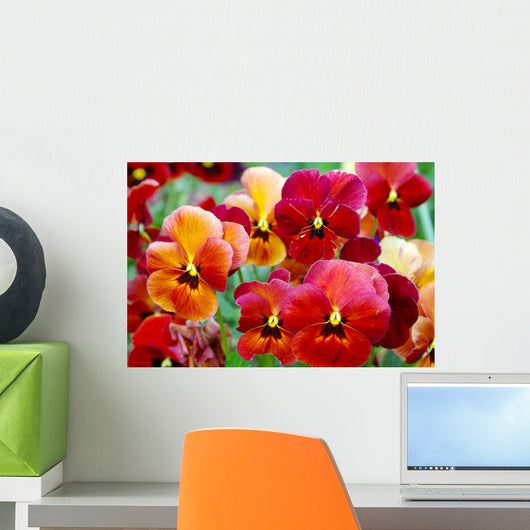 Pansy Flowers Wall Mural