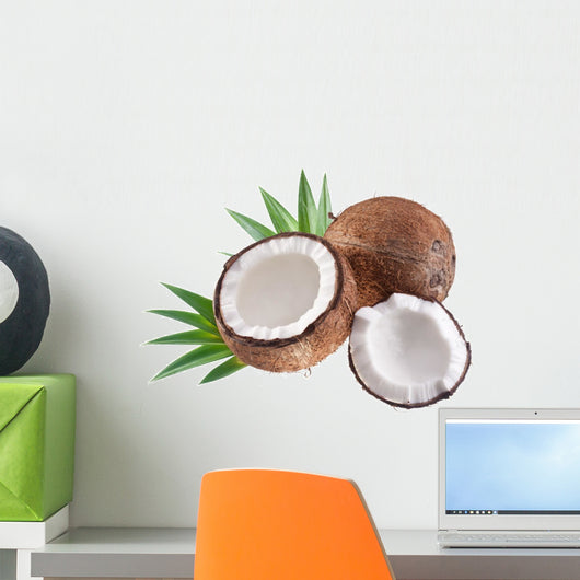 High-quality photos of coconuts on a white background. Wall Mural