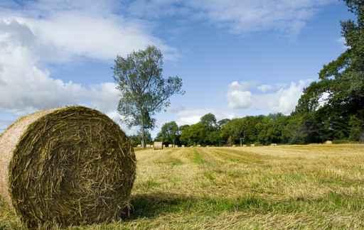 Farming Wall Decal