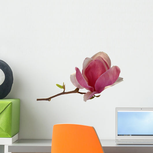 Single Bud Magnolia Wall Decal