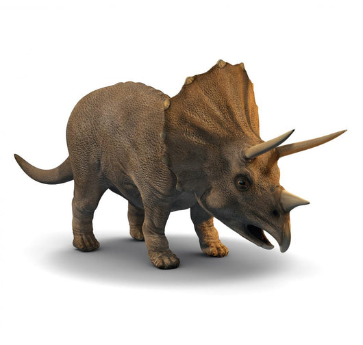 3d Triceratops Dinosaur Wall Decal