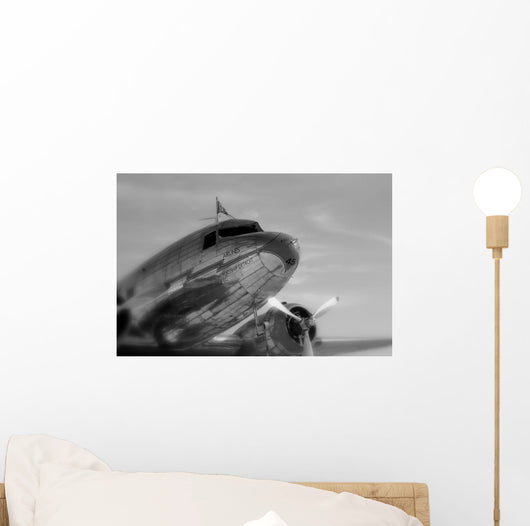 Vintage Airline Travel Wall Mural