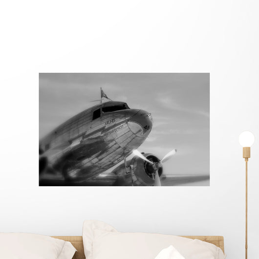 Vintage Airline Travel Wall Mural