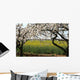 And Cherry Oilseed Rape Wall Decal