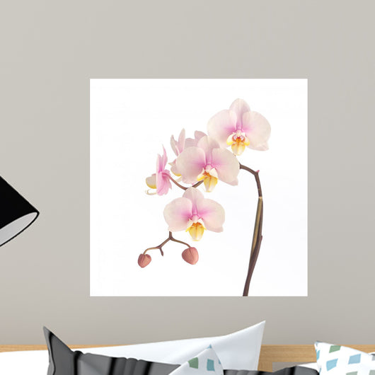 Soft Pink Orchid Wall Decal