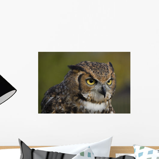 Eagle Owl Wall Mural
