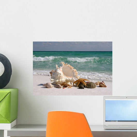 Shells on Floridas White Sand Beach Wall Mural