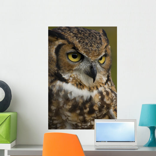 Owl Wall Mural