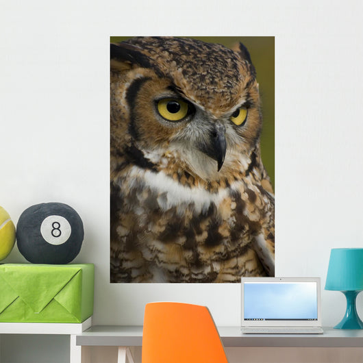 Owl Wall Mural