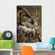 Owl Wall Mural