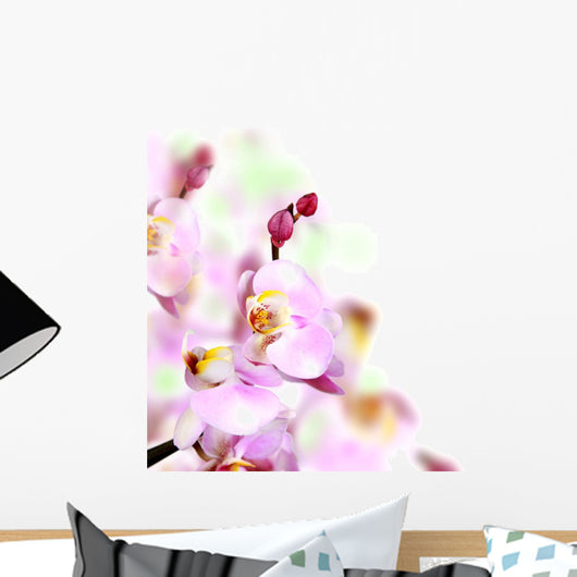 Orchid Border Wall Mural