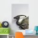 Dino Wall Mural