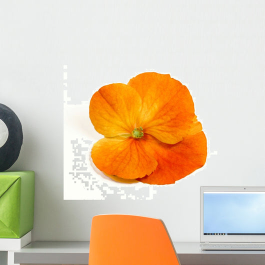 Flower Wall Mural