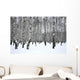 Winter Birch Grove