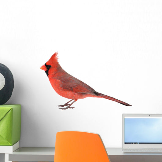 Northern Cardinal Wall Decal