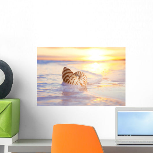 nautilus shell in the sea , sunrise Wall Mural