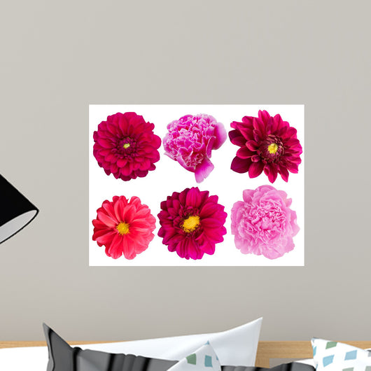 Flowers Peonies Dahlias Herbarium