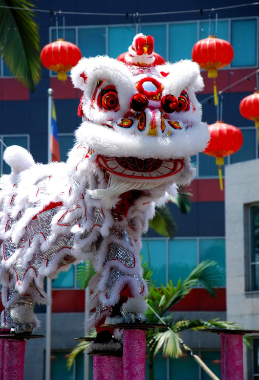 Chinese lion dance Wall Mural