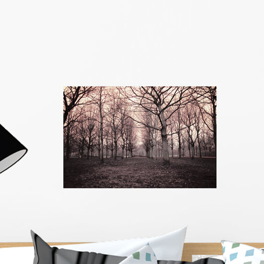 dark woods Wall Mural